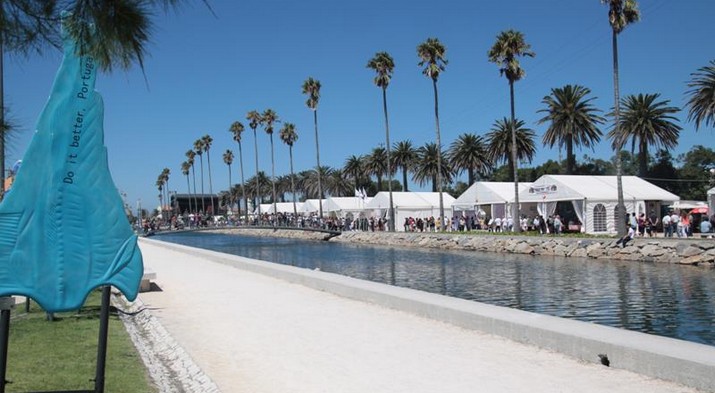 festival do bacalhau 2016