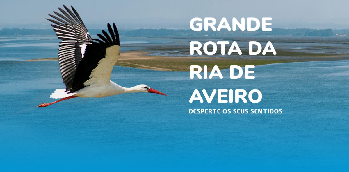 grande rota da ria de aveiro