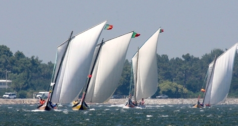 regata moliceiros RAW